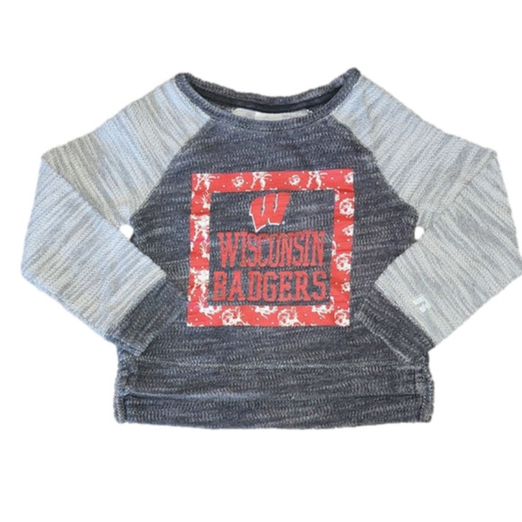 Wisconsin BADGERS Grey Sweater with Logo and Rose Print Design - Picture 1 of 5